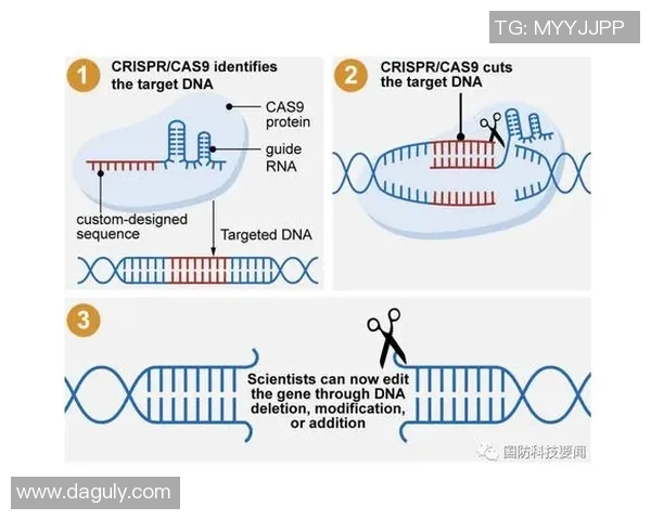 高校联赛特别报道：LNG在转型中迎接挑战与机遇的全新篇章